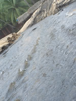 Tivola's Welt - Bildergalerie Indienurlaub 17.09.2007