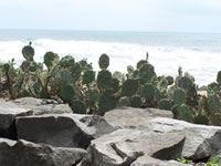 Tivola's Welt - Bildergalerie Indienurlaub 17.09.2007