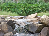 Tivola's Welt - Bildergalerie Indienurlaub 17.09.2007