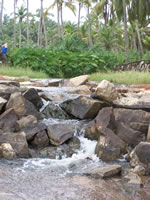 Tivola's Welt - Bildergalerie Indienurlaub 17.09.2007