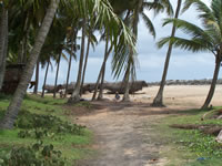 Tivola's Welt - Bildergalerie Indienurlaub 17.09.2007