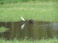 Tivola's Welt - Bildergalerie Indienurlaub 17.09.2007