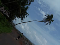 Tivola's Welt - Bildergalerie Indienurlaub 17.09.2007