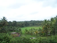 Tivola's Welt - Bildergalerie Indienurlaub 2007