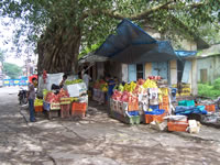 Tivola's Welt - Bildergalerie Indienurlaub 2007