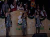 Tivola's Welt - Bildergalerie 2010 Faschingsumzug Neuendorf