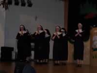 Tivola's Welt - Bildergalerie 2010 Faschingsumzug Neuendorf