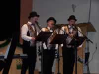 Tivola's Welt - Bildergalerie 2010 Faschingsumzug Neuendorf