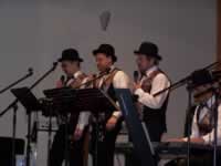 Tivola's Welt - Bildergalerie 2010 Faschingsumzug Neuendorf