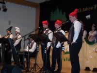 Tivola's Welt - Bildergalerie 2010 Faschingsumzug Neuendorf