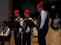 Tivola's Welt - Bildergalerie 2010 Faschingsumzug Neuendorf