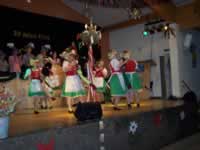 Tivola's Welt - Bildergalerie 2010 Faschingsumzug Neuendorf