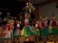 Tivola's Welt - Bildergalerie 2010 Faschingsumzug Neuendorf