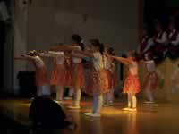 Tivola's Welt - Bildergalerie 2010-02-06 2. Faschingsitzung in der Schönrainhalle