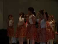 Tivola's Welt - Bildergalerie 2010-02-06 2. Faschingsitzung in der Schönrainhalle