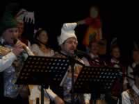 Tivola's Welt - Bildergalerie 2010-02-06 2. Faschingsitzung in der Schönrainhalle