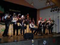 Tivola's Welt - Bildergalerie 2010-02-06 2. Faschingsitzung in der Schönrainhalle