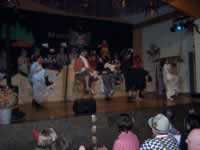 Tivola's Welt - Bildergalerie 2010-02-06 2. Faschingsitzung in der Schönrainhalle