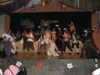 Tivola's Welt - Bildergalerie 2010-02-06 2. Faschingsitzung in der Schönrainhalle