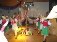 Tivola's Welt - Bildergalerie 2010-02-06 2. Faschingsitzung in der Schönrainhalle