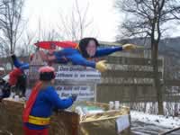 Tivola's Welt - Bildergalerie 2010-02-13 Faschingsumzug in Gemünden - es war bitterkalt zumind. für mich :-)