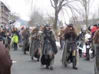 Tivola's Welt - Bildergalerie 2010-02-13 Faschingsumzug in Gemünden - es war bitterkalt zumind. für mich :-)