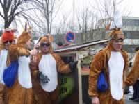 Tivola's Welt - Bildergalerie 2010-02-13 Faschingsumzug in Gemünden - es war bitterkalt zumind. für mich :-)