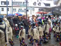 Tivola's Welt - Bildergalerie 2010-02-13 Faschingsumzug in Gemünden - es war bitterkalt zumind. für mich :-)