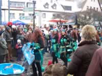 Tivola's Welt - Bildergalerie 2010-02-13 Faschingsumzug in Gemünden - es war bitterkalt zumind. für mich :-)