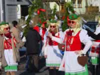 Tivola's Welt - Bildergalerie 2010-02-16 Faschingsumzug in Neuendorf mit anschließend Kehraus in der Halle