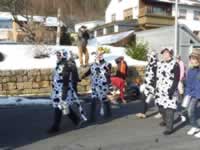 Tivola's Welt - Bildergalerie 2010-02-16 Faschingsumzug in Neuendorf mit anschließend Kehraus in der Halle