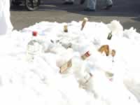 Tivola's Welt - Bildergalerie 2010-02-16 Faschingsumzug in Neuendorf mit anschließend Kehraus in der Halle