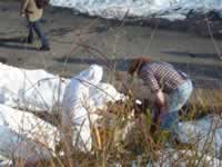 Tivola's Welt - Bildergalerie 2010-02-16 Faschingsumzug in Neuendorf mit anschließend Kehraus in der Halle