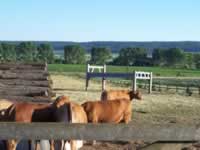 Tivola's Welt - Bildergalerie Wochenendausflug nach Mühlhausen in Thüringen vom 26./27.06.2010