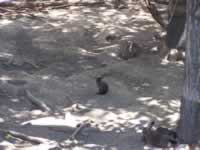 Tivola's Welt - Bildergalerie Wochenendausflug nach Mühlhausen in Thüringen vom 26./27.06.2010