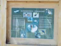 Tivola's Welt - Bildergalerie Wochenendausflug nach Mühlhausen in Thüringen vom 26./27.06.2010