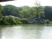 Tivola's Welt - Bildergalerie Stadtrundfahrt New York