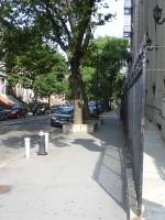 Tivola's Welt - Bildergalerie Stadtrundfahrt New York