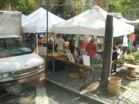 Tivola's Welt - Bildergalerie Stadtrundfahrt New York