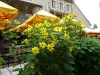 Tivola's Welt - Bildergalerie Besuch von Quebec