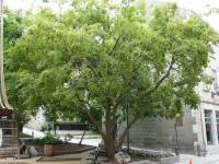 Tivola's Welt - Bildergalerie Besuch von Quebec