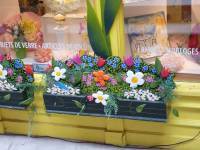 Tivola's Welt - Bildergalerie Besuch von Quebec