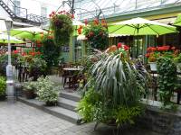 Tivola's Welt - Bildergalerie Besuch von Quebec