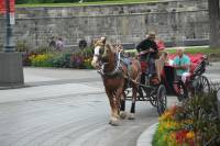 Tivola's Welt - Bildergalerie Besuch von Quebec