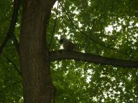 Tivola's Welt - Bildergalerie Besuch Montreal