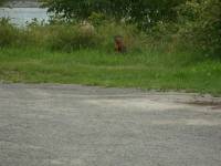 Tivola's Welt - Bildergalerie Besuch Montreal