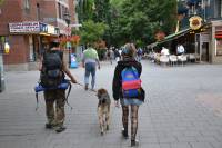 Tivola's Welt - Bildergalerie Besuch Montreal