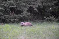 Tivola's Welt - Bildergalerie Besuch Montreal