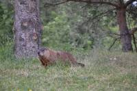 Tivola's Welt - Bildergalerie Besuch Montreal