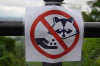 Tivola's Welt - Bildergalerie Besuch Montreal